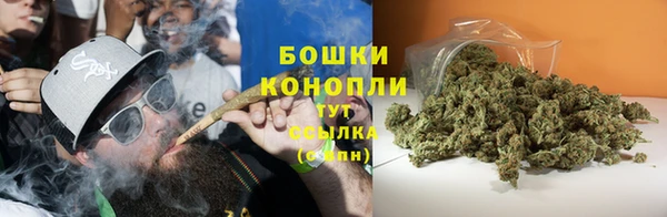 ПСИЛОЦИБИНОВЫЕ ГРИБЫ Краснослободск