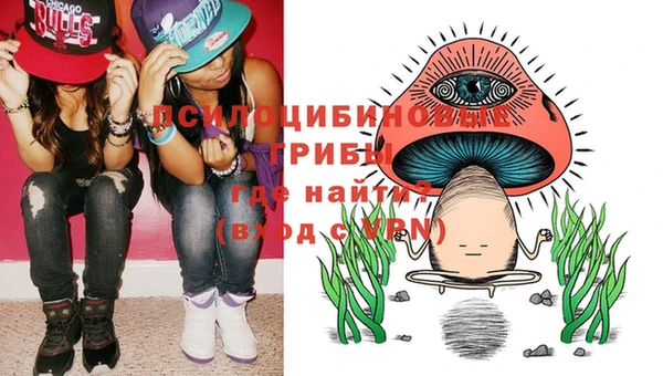 винт Наволоки