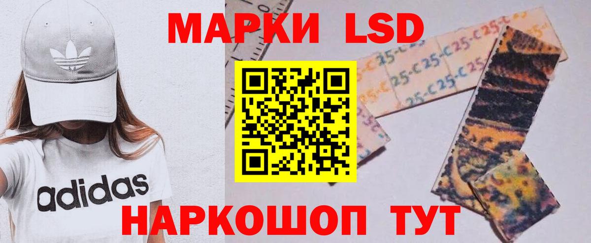Галлюциногенные грибы Чебаркуль