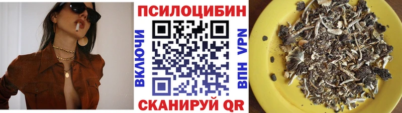 Псилоцибиновые грибы Psilocybe Чебаркуль