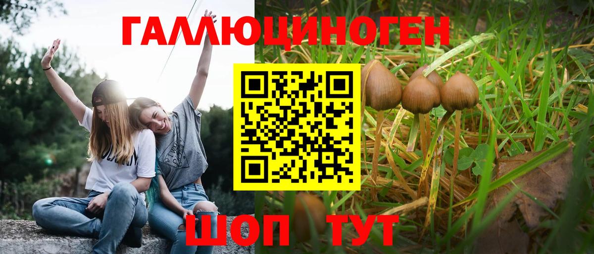 Псилоцибиновые грибы GOLDEN TEACHER Чебаркуль
