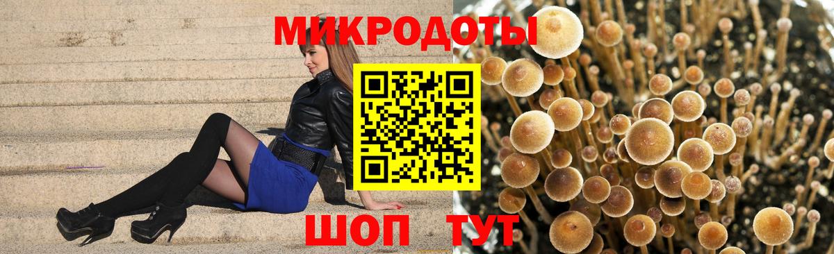 Галлюциногенные грибы мухоморы  Псилоцибиновые грибы прущие грибы  Вход с VPN  Чебаркуль 